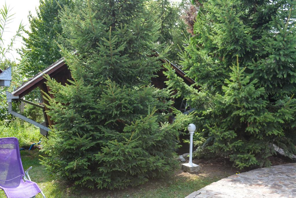 Camping Robinson Country Club Oradea Buitenkant foto