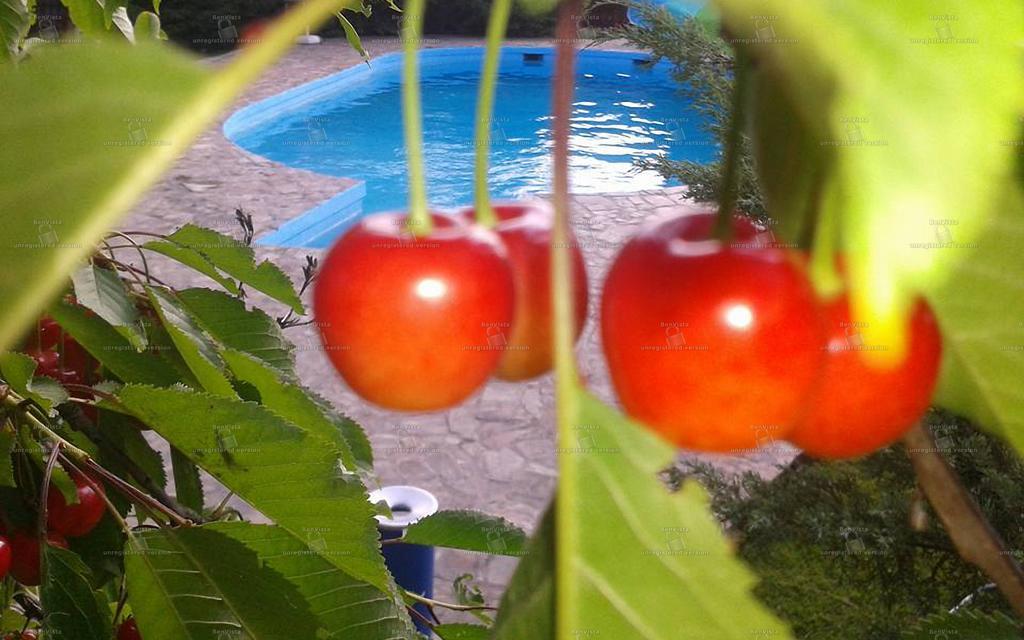 Camping Robinson Country Club Oradea Buitenkant foto